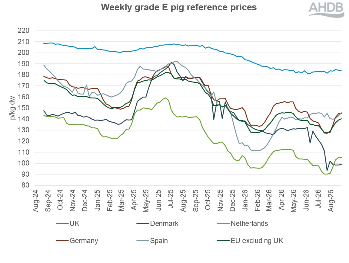Line graph of EU grade E pig prices for two years up to 30 August 2026.